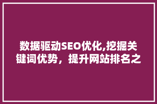 数据驱动SEO优化,挖掘关键词优势，提升网站排名之路