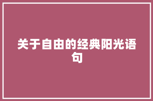 新民SEO优化公司,助力企业网站排名，提升品牌影响力