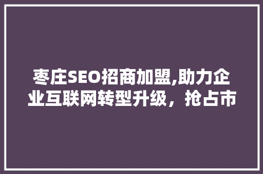 枣庄SEO招商加盟,助力企业互联网转型升级，抢占市场先机