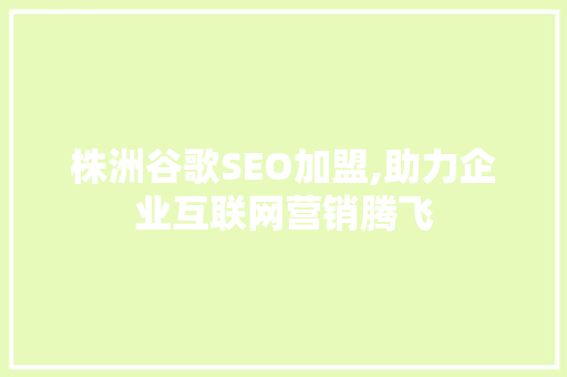 株洲谷歌SEO加盟,助力企业互联网营销腾飞