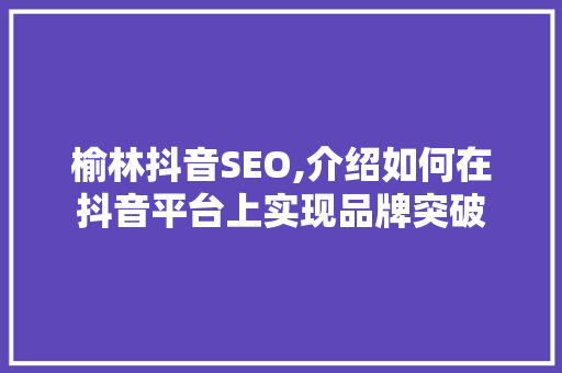 榆林抖音SEO,介绍如何在抖音平台上实现品牌突破