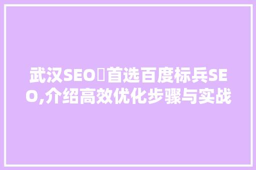武汉SEO亅首选百度标兵SEO,介绍高效优化步骤与实战方法  第1张