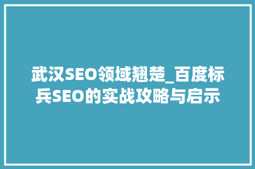 武汉SEO领域翘楚_百度标兵SEO的实战攻略与启示