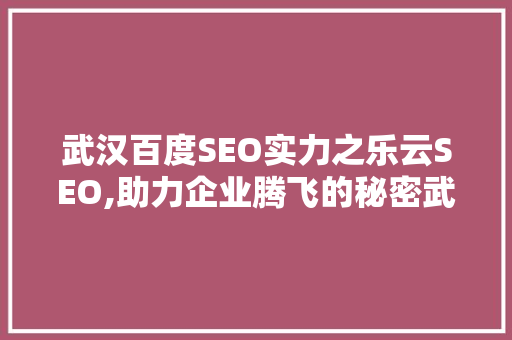 武汉百度SEO实力之乐云SEO,助力企业腾飞的秘密武器