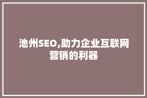 池州SEO,助力企业互联网营销的利器