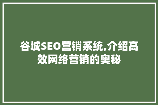谷城SEO营销系统,介绍高效网络营销的奥秘