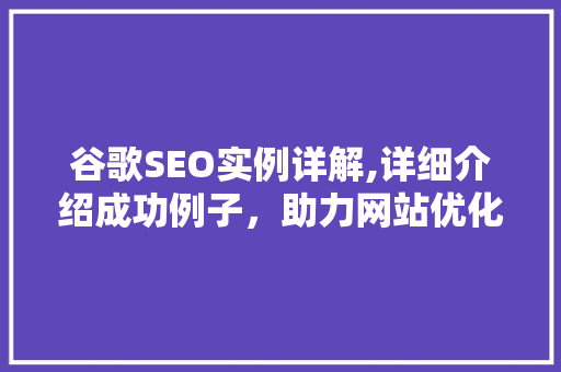 谷歌SEO实例详解,详细介绍成功例子，助力网站优化
