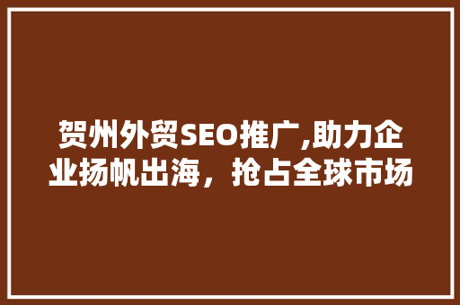 贺州外贸SEO推广,助力企业扬帆出海，抢占全球市场先机