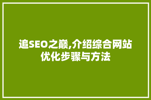 追SEO之巅,介绍综合网站优化步骤与方法