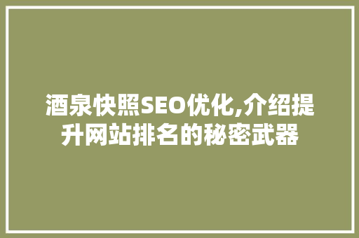酒泉快照SEO优化,介绍提升网站排名的秘密武器  第1张