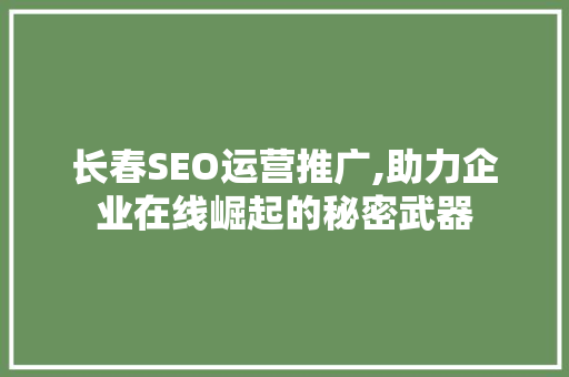 长春SEO运营推广,助力企业在线崛起的秘密武器