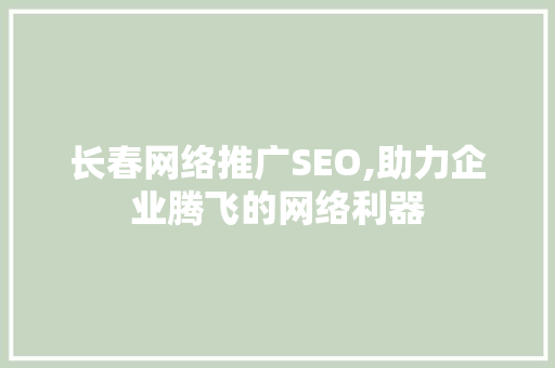 长春网络推广SEO,助力企业腾飞的网络利器