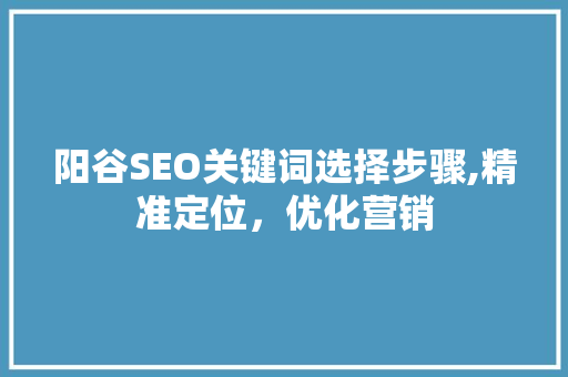 阳谷SEO关键词选择步骤,精准定位，优化营销