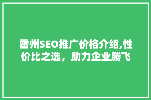 雷州SEO推广价格介绍,性价比之选，助力企业腾飞