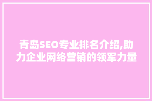 青岛SEO专业排名介绍,助力企业网络营销的领军力量  第1张