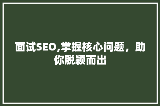 面试SEO,掌握核心问题，助你脱颖而出
