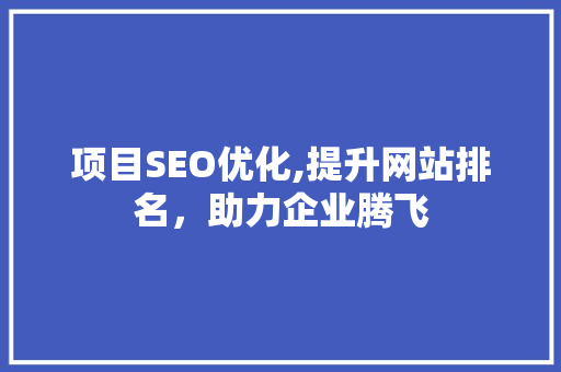 项目SEO优化,提升网站排名，助力企业腾飞