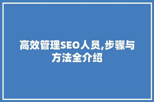 高效管理SEO人员,步骤与方法全介绍  第1张