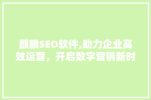 麒麟SEO软件,助力企业高效运营，开启数字营销新时代