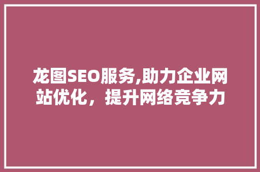 龙图SEO服务,助力企业网站优化，提升网络竞争力