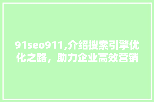 91seo911,介绍搜索引擎优化之路，助力企业高效营销