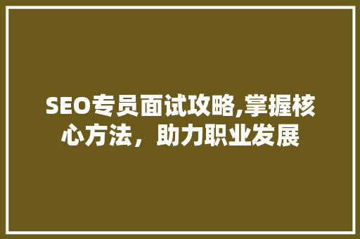 SEO专员面试攻略,掌握核心方法，助力职业发展