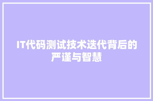 IT代码测试技术迭代背后的严谨与智慧