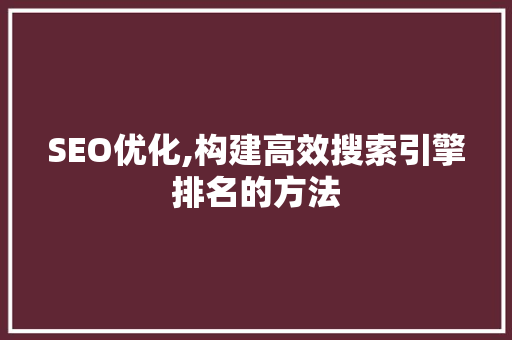 SEO优化,构建高效搜索引擎排名的方法
