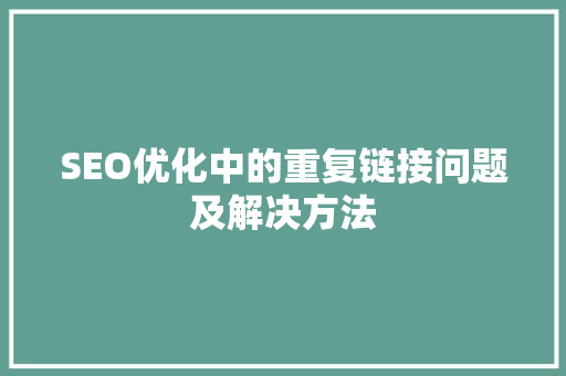 SEO优化中的重复链接问题及解决方法
