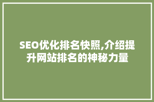 SEO优化排名快照,介绍提升网站排名的神秘力量