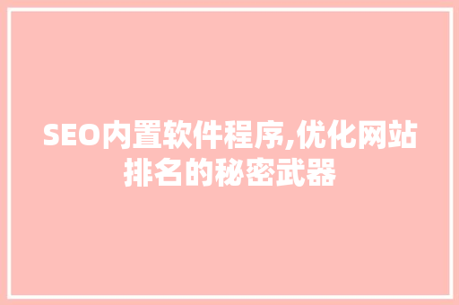 SEO内置软件程序,优化网站排名的秘密武器