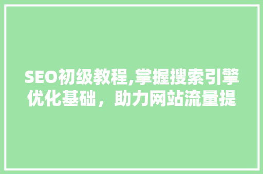 SEO初级教程,掌握搜索引擎优化基础，助力网站流量提升