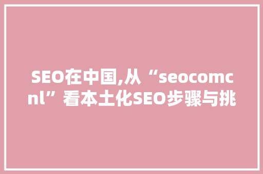 SEO在中国,从“seocomcnl”看本土化SEO步骤与挑战