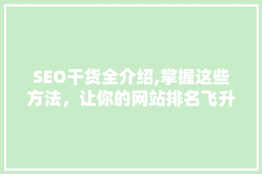 SEO干货全介绍,掌握这些方法，让你的网站排名飞升！
