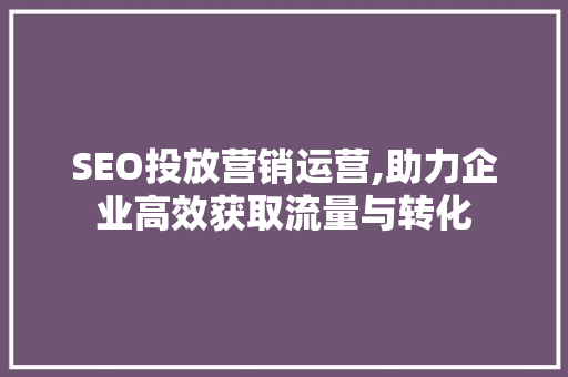 SEO投放营销运营,助力企业高效获取流量与转化