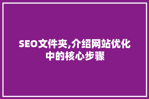 SEO文件夹,介绍网站优化中的核心步骤