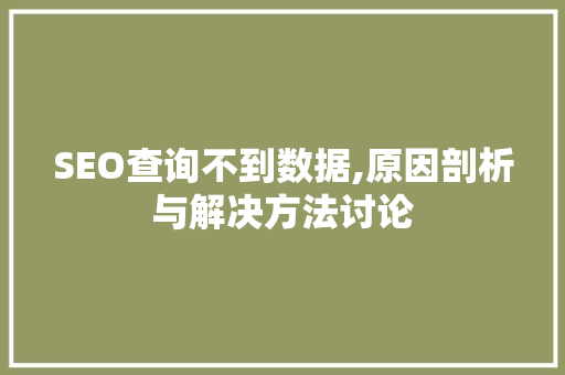 SEO查询不到数据,原因剖析与解决方法讨论