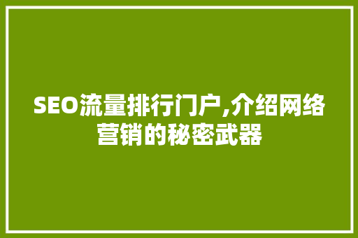 SEO流量排行门户,介绍网络营销的秘密武器