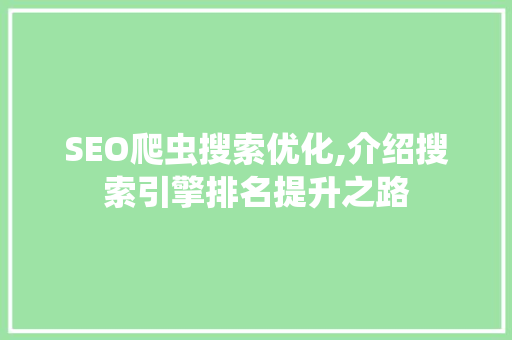 SEO爬虫搜索优化,介绍搜索引擎排名提升之路