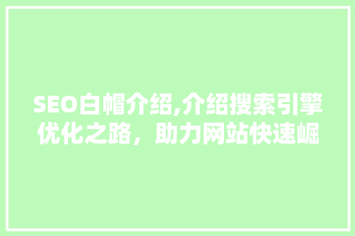 SEO白帽介绍,介绍搜索引擎优化之路，助力网站快速崛起