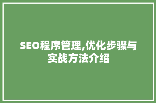 SEO程序管理,优化步骤与实战方法介绍