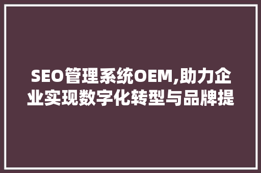 SEO管理系统OEM,助力企业实现数字化转型与品牌提升