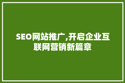 SEO网站推广,开启企业互联网营销新篇章
