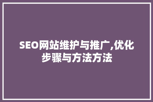 SEO网站维护与推广,优化步骤与方法方法  第1张