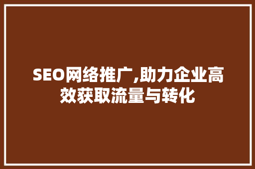 SEO网络推广,助力企业高效获取流量与转化