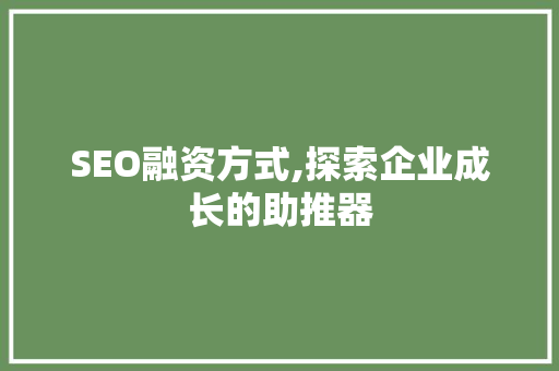 SEO融资方式,探索企业成长的助推器