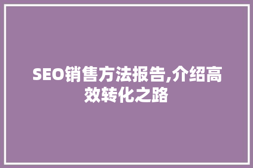 SEO销售方法报告,介绍高效转化之路