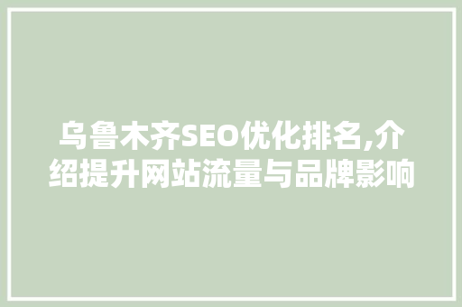 乌鲁木齐SEO优化排名,介绍提升网站流量与品牌影响力的方法