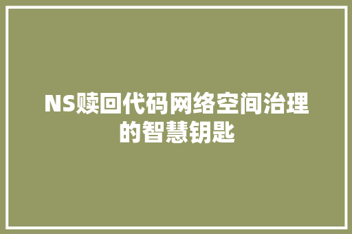 NS赎回代码网络空间治理的智慧钥匙