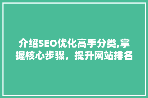 介绍SEO优化高手分类,掌握核心步骤，提升网站排名